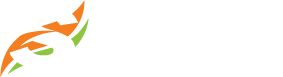 Sawa All Store Logo